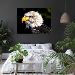 «Белоголовый орлан» в интерьере современной спальни с черными стенами