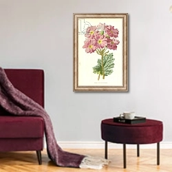 «Primula or China Primrose» в интерьере гостиной в бордовых тонах