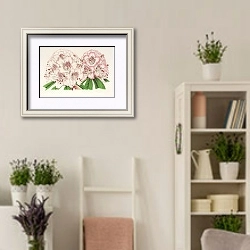 «Rhododendrum Bijou de Gand» в интерьере комнаты в стиле прованс с цветами лаванды