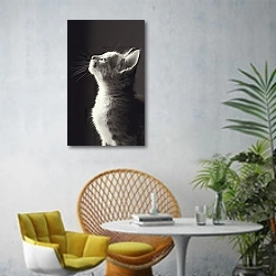 «Маленький серый котенок» в интерьере современной гостиной с желтым креслом