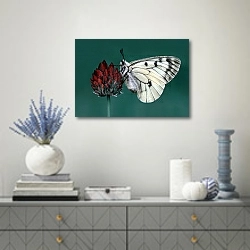 «Белая бабочка на бордовом цветке» в интерьере современной гостиной с голубыми деталями