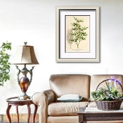 «Acer palmatum crispum» в интерьере гостиной в стиле прованс