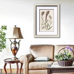 «Foxtail Trichinium» в интерьере гостиной в стиле прованс