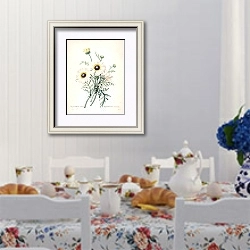 «Белая хризантема» в интерьере столовой в стиле прованс над столом