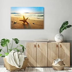 «Морская звезда на песке» в интерьере современной комнаты над комодом