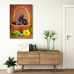 «Лихматый кролик в корзине с цветком» в интерьере современной прихожей над тумбой
