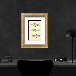 «The Tullibee, The Grayling, The Striped Killfish 1» в интерьере кабинета в черном цвете