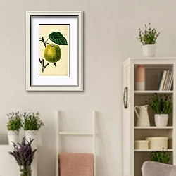 «Яблоко Cockle Pippin» в интерьере комнаты в стиле прованс с цветами лаванды