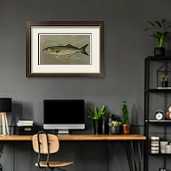 «The Bluefish, Pomatomus saltatrix.» в интерьере кабинета с серыми стенами