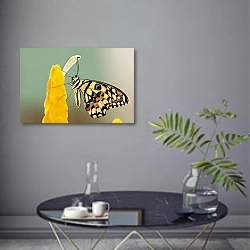 «Черно-желтая бабочка на ярко-желтом цветке» в интерьере современной гостиной в серых тонах