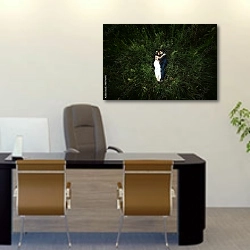 «Счастливая невеста и стильный жених, лежащие на траве» в интерьере офиса над столом начальника