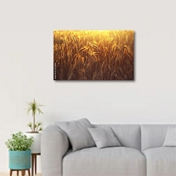 «Колоски зрелой пшеницы в золотом солнечном свете» в интерьере светлой гостиной в скандинавском стиле