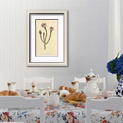 «Roella Ciliata. Prickly Roella» в интерьере столовой в стиле прованс над столом