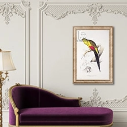 «Black-Tailed Parakeet» в интерьере в классическом стиле над банкеткой