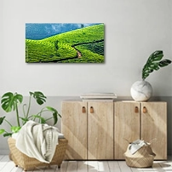 «Зеленые чайные плантации, Муннар, Керала, Индия» в интерьере современной комнаты над комодом