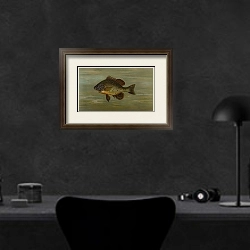 «The White or Silver Bass, Roccus chrysops.» в интерьере кабинета в черных цветах над столом