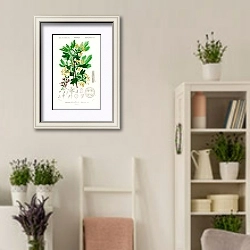 «Смородина золотистая (Ribes Aureum)» в интерьере комнаты в стиле прованс с цветами лаванды