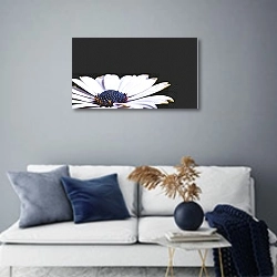«Цветок белой герберы на черном фоне» в интерьере современной гостиной в синих тонах