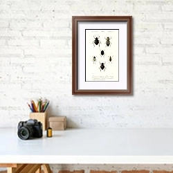 «Различные виды жуков 3» в интерьере современного кабинета над столом