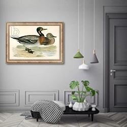 «Bimaculated Duck» в интерьере коридора в классическом стиле