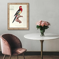 «Omnicoloured Parakeet» в интерьере в классическом стиле над креслом