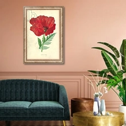 «Oriental Poppy» в интерьере классической гостиной над диваном