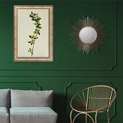«Vallaris solanacea» в интерьере классической гостиной с зеленой стеной над диваном