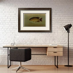 «The Common Sunfish, Eupomotis gibbosus.» в интерьере современного кабинета с кирпичными стенами