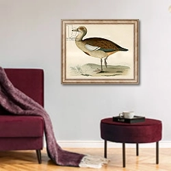 «Egyptian Goose» в интерьере гостиной в бордовых тонах