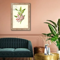 «Balsam» в интерьере классической гостиной над диваном