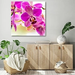 «Орхидеи 45» в интерьере современной комнаты над комодом