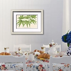 «Acer palmatum reticulatum» в интерьере столовой в стиле прованс над столом