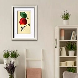 «Красное астраханское яблоко» в интерьере комнаты в стиле прованс с цветами лаванды
