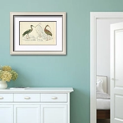 «Papillated Ibis, White Ibis, metallic Ibis» в интерьере коридора в стиле прованс в пастельных тонах