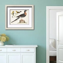 «Птицы Америки Уилсона 45» в интерьере коридора в стиле прованс в пастельных тонах
