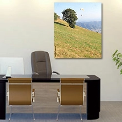 «Параплан над склоном горы» в интерьере офиса над столом начальника