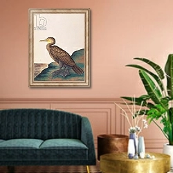 «Great Cormorant, from 'Drawings of Birds from Malacca', c.1805-18» в интерьере классической гостиной над диваном