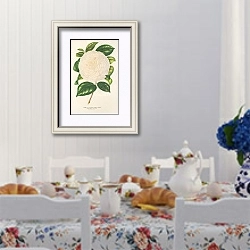 «Camellia Dionisia Poniatowski» в интерьере столовой в стиле прованс над столом