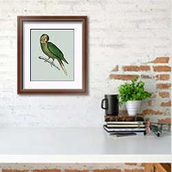 «Старинный раскрашенный вручную рисунок попугая» в интерьере кабинета с кирпичной стеной