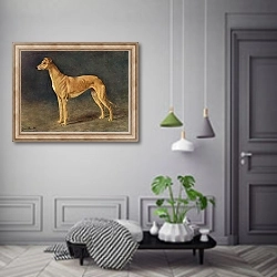«The Successful Coursing Greyhound Bitch Age of Gold» в интерьере коридора в классическом стиле