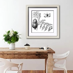 «Mohagany or Meliaceae. Melia azedarach illustration» в интерьере кухни с деревянным столом