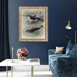 «Killer, Pilot Whale» в интерьере в классическом стиле в синих тонах