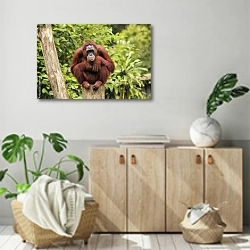 «Рыжий орангутан, сидящий на пне» в интерьере современной комнаты над комодом