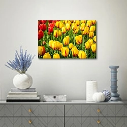 «Красные и желтые тюльпаны на поле» в интерьере современной гостиной с голубыми деталями