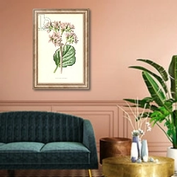 «Large-Leaved Saxifrage» в интерьере классической гостиной над диваном