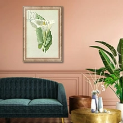 «Arum Lily» в интерьере классической гостиной над диваном