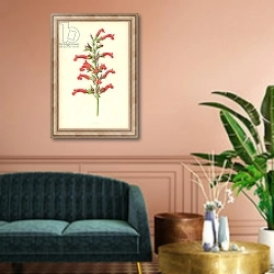 «Salvia» в интерьере классической гостиной над диваном