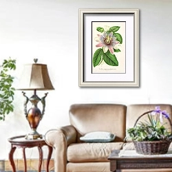 «Passiflora Imperatrice Eugenie» в интерьере гостиной в стиле прованс