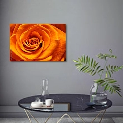 «Оранжевая роза макро» в интерьере современной гостиной в серых тонах