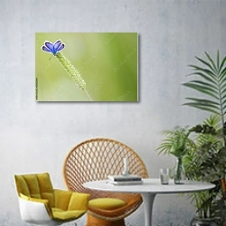«Маленькая голубая бабочка на колоске » в интерьере современной гостиной с желтым креслом